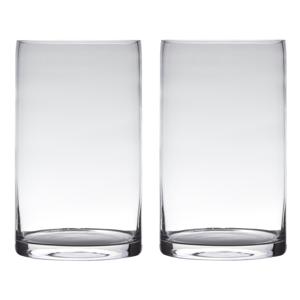 Set van 2x stuks vaas - cilinder vorm - transparant - 25 x 15 cm - glas - home-basics vazen - bloeme