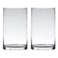 Set van 2x stuks vaas - cilinder vorm - transparant - 25 x 15 cm - glas - home-basics vazen - bloeme