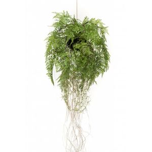 Emerald Emerald Kunstvaren hangend met wortels 35 cm