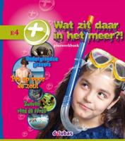 Pluswerkboek E4 (Paperback)