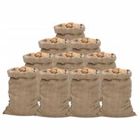 VidaXL Jutezakken 10 stuks 340 g/m² 60x105 cm 100% jute