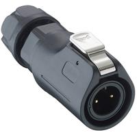 Lumberg 0250 02 Ronde connector Stekker, recht Totaal aantal polen: 2 1 stuk(s)