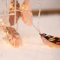 3m gouden veer USB Plug romantische LED String vakantie licht 20 LEDs Teenage stijl warme Fairy decoratieve Lamp voor Kerstmis bruiloft slaapkamer