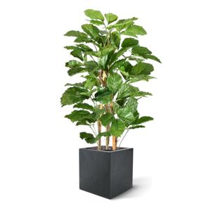 Tetrastigma kunstplant 120cm