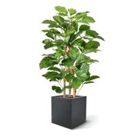 Tetrastigma kunstplant 120cm