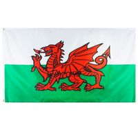 Wales Vlag (90 x 150cm)