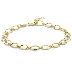 Armband Ankerschakel geelgoud 6 mm 19 cm
