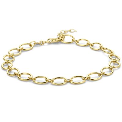 Armband Ankerschakel geelgoud 6 mm 19 cm