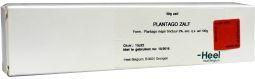 Homeoden Heel Plantago zalf/creme