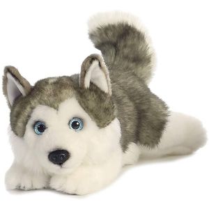 Aurora knuffel husky junior 28 cm pluche grijs/wit