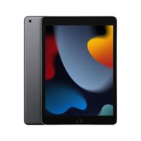 Apple iPad 256 GB 25,9 cm (10.2") Wi-Fi 5 (802.11ac) iPadOS 15 Grijs - thumbnail