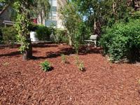Franse Boomschors 20-40 5m3 - Warentuin collection