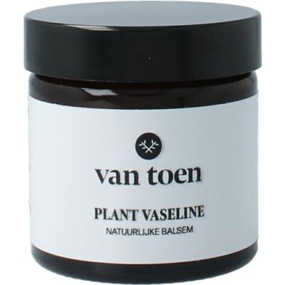 Van Toen plant vaseline