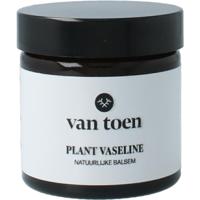 Van Toen plant vaseline