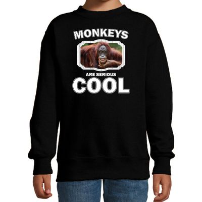 Dieren gekke orangoetan sweater zwart kinderen - monkeys are cool trui jongens en meisjes Dieren gekke orangoetan sweater zwart kinderen - monkeys are cool trui jongens en meisjes