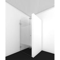 Van Rijn Products ST01 Nisdeur 8mm helder Clearglas HxB 198.8x89.4cm voor nis 90cm met Geprinte baan 100cm RVS beslag ST0110090GSRVS