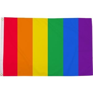 LGBT vlag in regenboogkleuren 90 x 150 cm verticaal   -