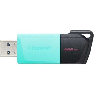 Kingston Technology DataTraveler Exodia M 256 GB, USB 3.2 Gen 1 (zwart + blauwgroen)