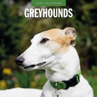 Greyhound Kalender 2026