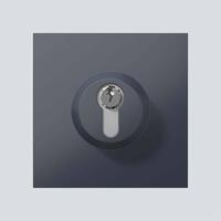Siedle 210004992-00 Functiemodule voor Accessoires voor deurintercom Antraciet