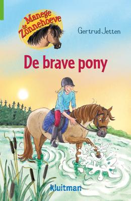 Manege de Zonnehoeve De brave pony