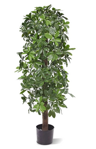 DesignPlants: Schefflera Kolom Kunstplant 120cm UV Bestendig - Groen