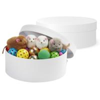 Ronde witte hobby knutsel doos - 2x - dozen van karton - 14.5 x 5.5 cm - Hoedendoos - cadeauverpakki