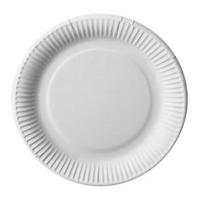 Borden - Rond Wit Karton 23cm - 100 stuks