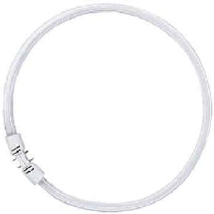 FC 40W/830  - Fluorescent lamp ring shape 40W 16mm FC 40W/830