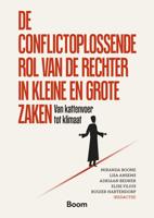 De conflictoplossende rol van de rechter in kleine en grote zaken - - ebook