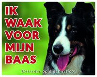 Border Collie Waakbord - Ik waak voor mijn baas