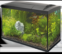 Superfish Start 100 tropical aquarium zwart