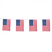 Vlaggenlijn USA (4m)