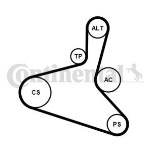 Poly V-riem set CONTINENTAL CTAM, u.a. für VW, Audi, Seat, Skoda