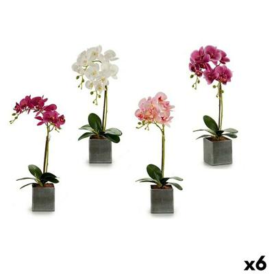 Decoratieve Bloem Ibergarden Orchidee 14 x 51 x 18 cm (6 Stuks)