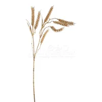 Decoratietak Tarwe Goud 73cm