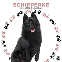Schipperke Kalender 2026