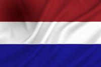Vlag Nederland 30x45 cm spun-poly