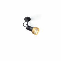 Trizo21 -2Thirty-C1 in Spot