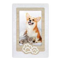 Zep ZX3546 Zampa 10x15 cm