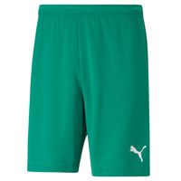 PUMA teamRISE Voetbalbroekje Groen