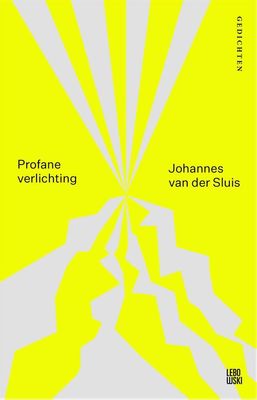 Profane verlichting - Johannes van der Sluis - ebook