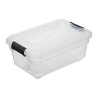 5Five opberg kist met deksel - Box - 4 liter - 29 x 19 x 12 cm - kunststof - transparant