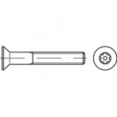 TOOLCRAFT TO-5380341 Veiligheidsschroeven M8 50 mm Binnen-T 88117 RVS A2 100 stuk(s)