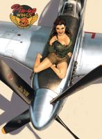 Pin-up Wings (Hardback)