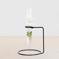Spathiphyllum - Weefselkweek plantje