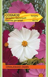 Cosmos