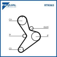 Requal Distributieriem kit RTK065 - thumbnail
