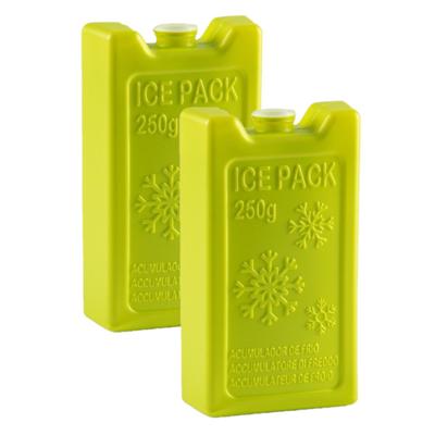 Plasticforte Koelelementen - 8x stuks - 250 grams - 13 x 7.5 cm - groen - kunststof