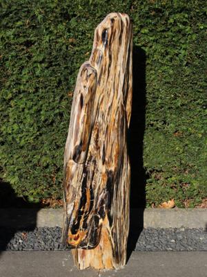 Fossiel Hout 250313, 90 cm